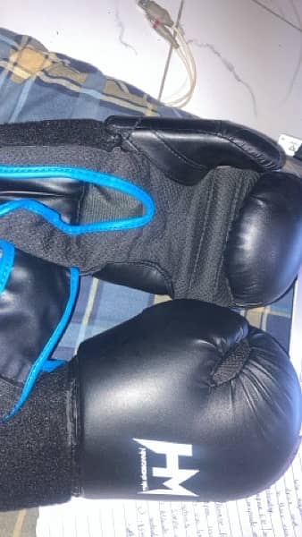 boxing gloves (10 oz) with filled bag 4 feet and trainer pads 1
