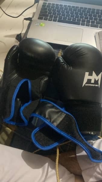 boxing gloves (10 oz) with filled bag 4 feet and trainer pads 2