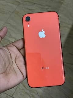 Iphone XR Pta approved
