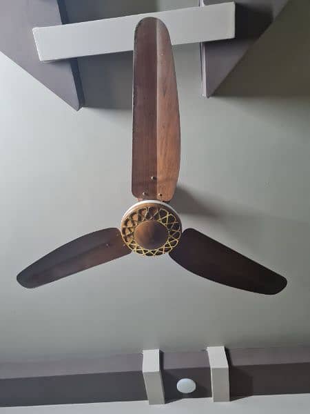 Slightly Used Royal & Pak Fan Fancy Ceiling Fans 0