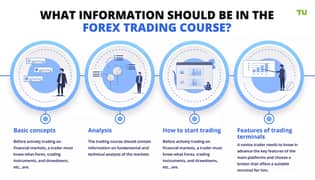 Forex Premium Trading Course