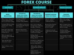 Forex Premium Trading Course For Beginners