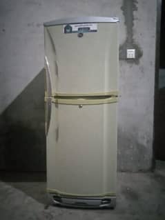 pel fridge medium size chill cooling no any fault for sale
