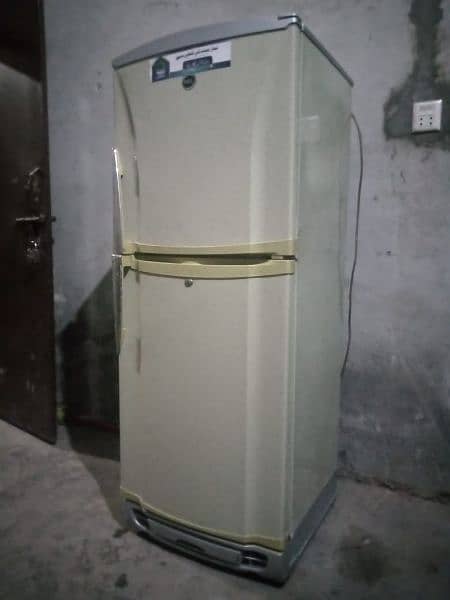 pel fridge medium size chill cooling no any fault for sale 4