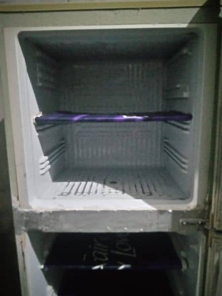 pel fridge medium size chill cooling no any fault for sale 5