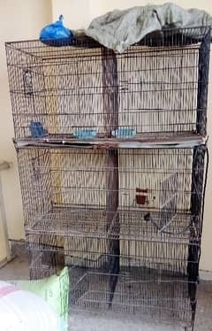 cages for bird