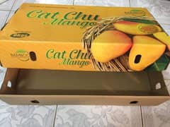 mango packaging boxes/ Fruit box