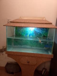 fish Ecorium for sale size 2/1 condition 10/9
