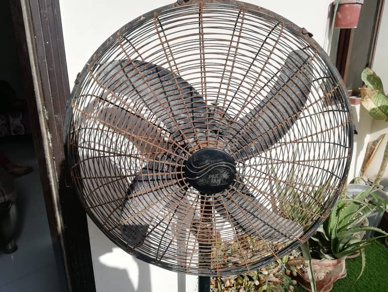 Pak Fan Pedestal Fan 24 Inch 6