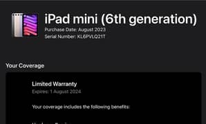iPad mini 6 ( three months left warranty ) brand new come from USA