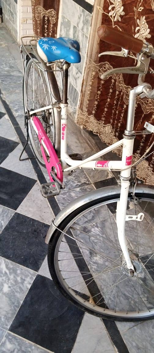 Japanese Bicycle, Fresh and no problem 1