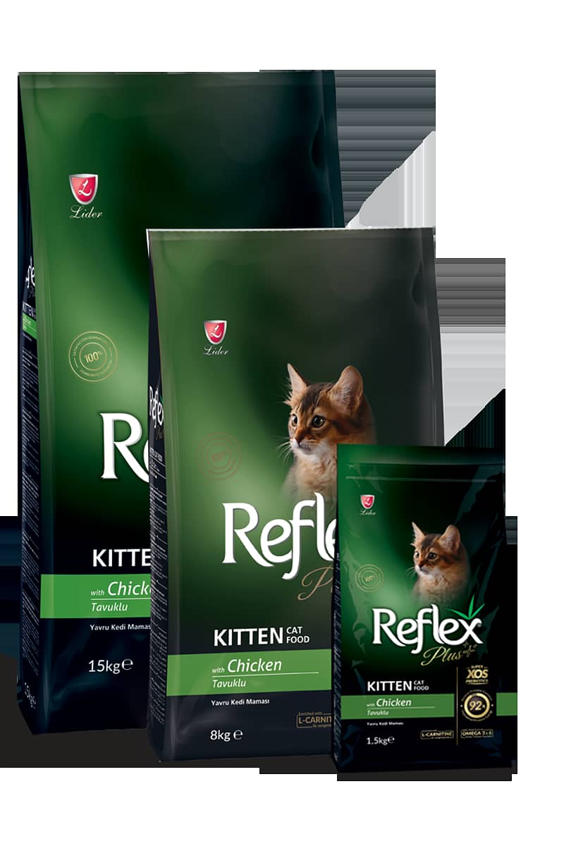 Reflex Kitten 15kg 1