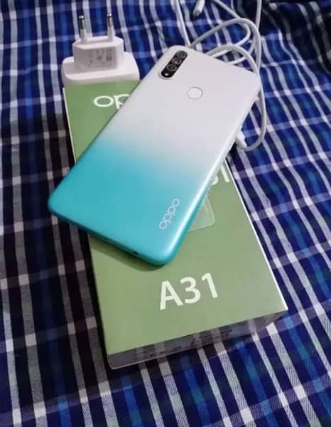 Oppo A31 1