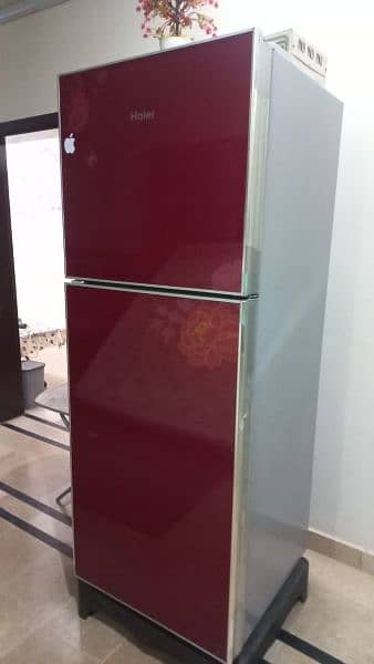 Haier Refrigerator Large Size 1