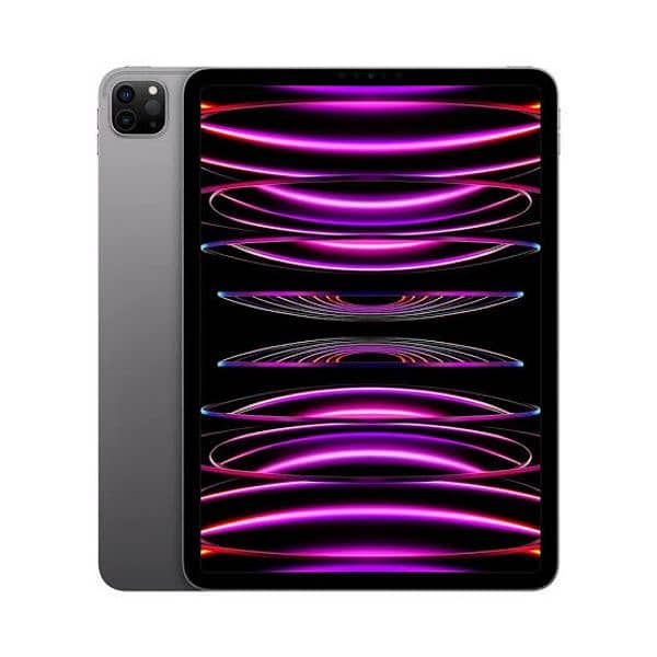 ipad pro 11 M2 4th generation pinpack one year warranty 0