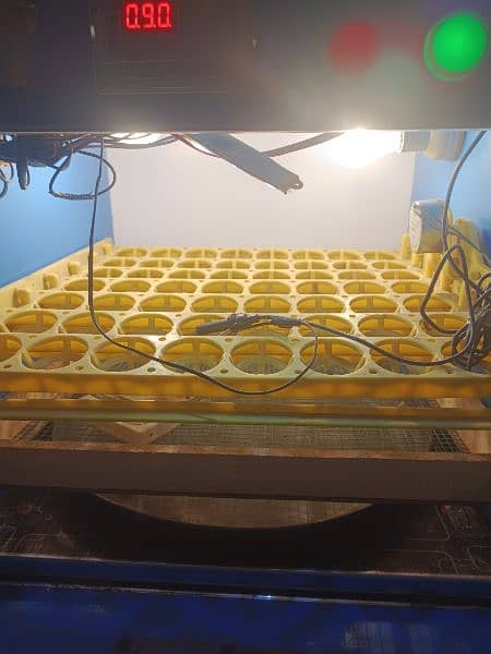 56 eggs auto incubator hatching ruslt 90% 4