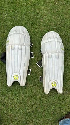 cricket hardball complete kit for Sale Condition  10/10 0