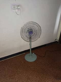 DC pedestal fan available for sale