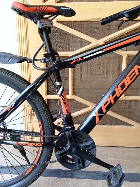 26" Phoenix mountain bike 1