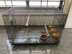 MASTER Parrot cage in heavy guage is available