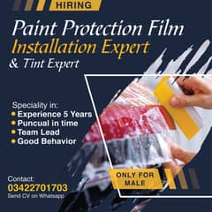 Paint Protecton Film Installer Job