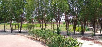 20 Kanal Residential Plot For Sale On Main Ferozpur Road. 0