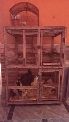 birds cage and hen cage urgent sale 0