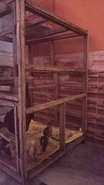 birds cage and hen cage urgent sale 2