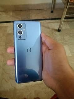 OnePlus 9 Single approved