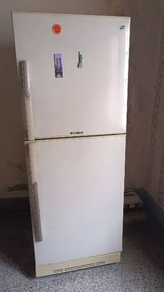 Pel Arctic Refrigerator 16CFT