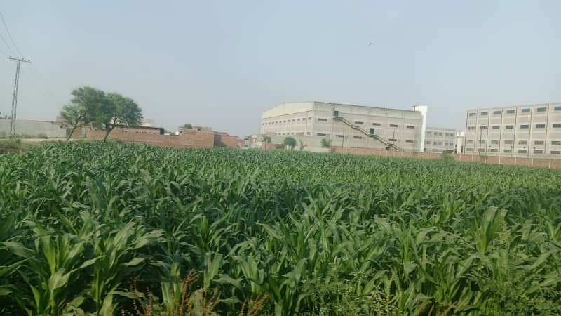 10 Kanal Industrial Plot For Sale 3