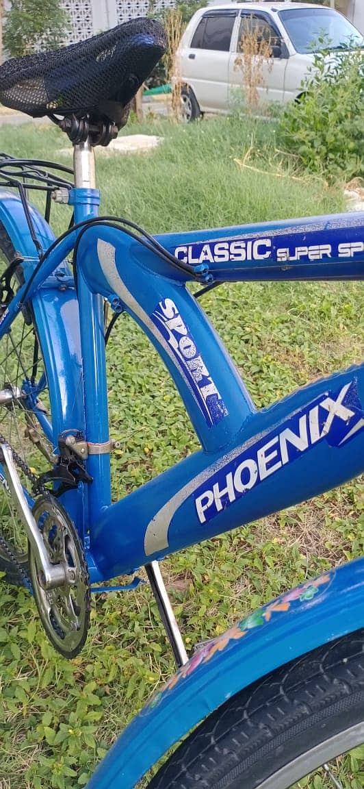 Phoenix imported Double gear bicycle 7