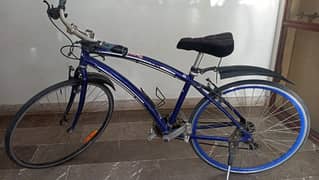 Hybrid Japanese Bicycle 0