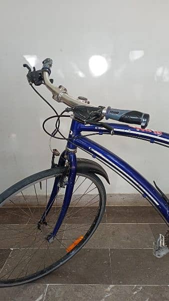 Hybrid Japanese Bicycle 1