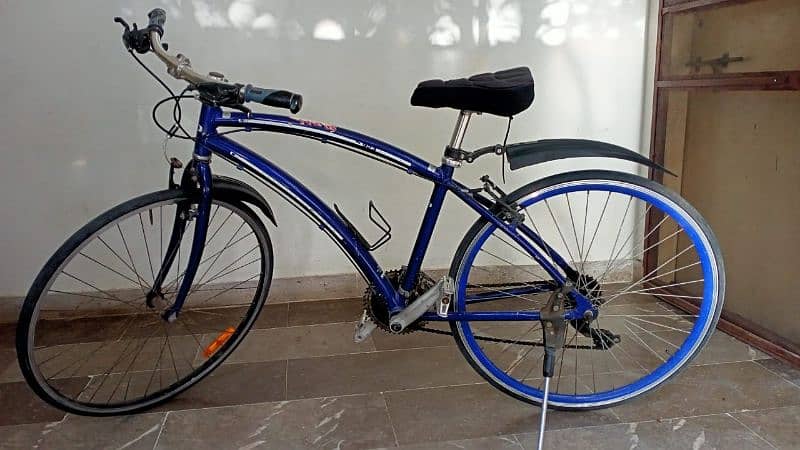 Hybrid Japanese Bicycle 2