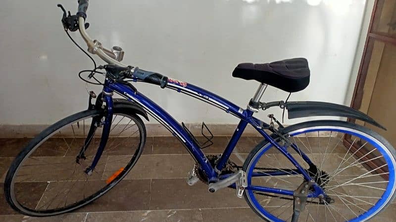 Hybrid Japanese Bicycle 3