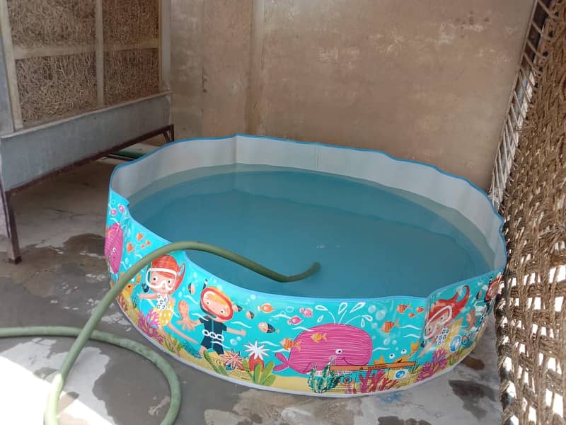 Swimming pool for sale 2