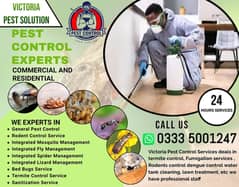 Malik Pest Control/Termite deemak Control/Dengue Spray/Fumigation 0