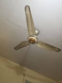 pak fan ceiling fan