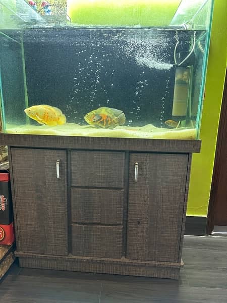 3 feet aquarium for sale 2