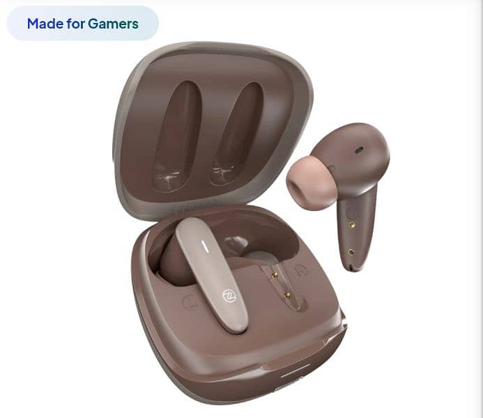 Astro Earbuds 1