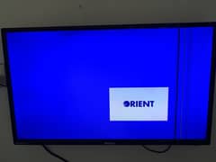 orient lcd for sale