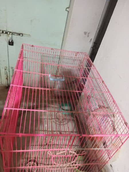 0342-2766480 Cage Pinjra Parrot Bajri 0