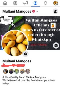 Every variety of Multani Mangoes available for Sale