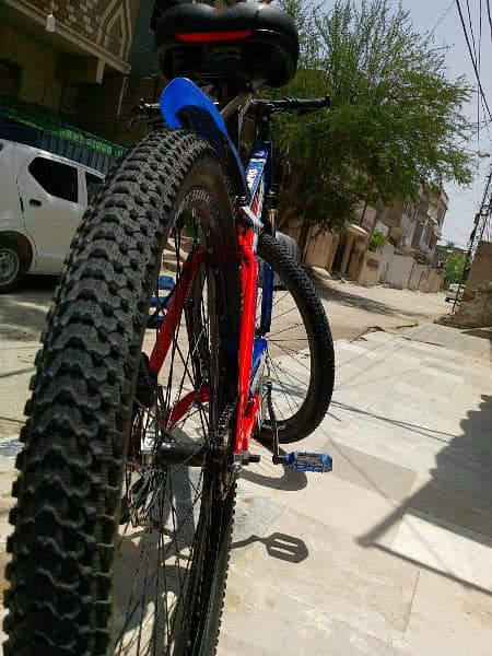 bicycle for sell 11