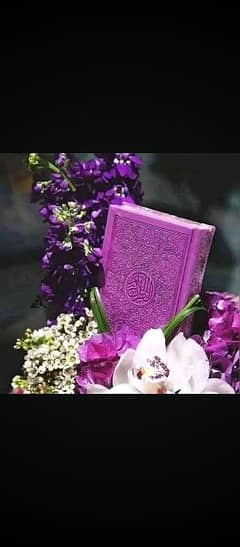 learn Quran