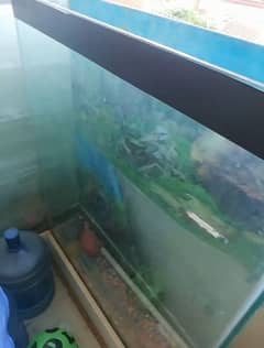 4.5 ft aquarium