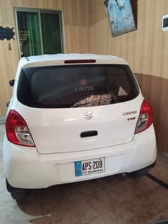 Suzuki Caltus Vxr 2019 0