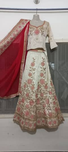 Pure indian lehanga choli new.  Red and fawn color  Size med