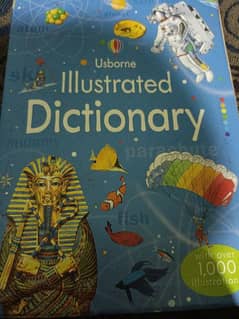 Usborne Illusttaded Dictionary 0